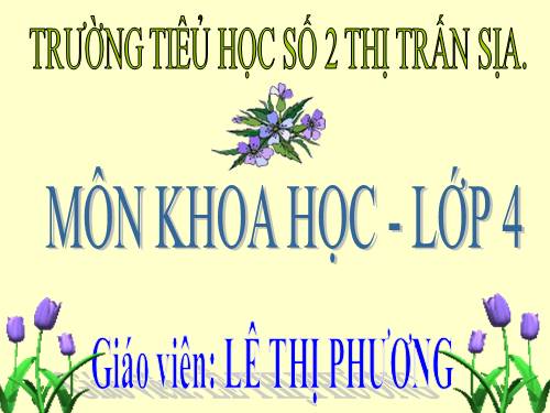 Bài 39. Không khí bị ô nhiễm