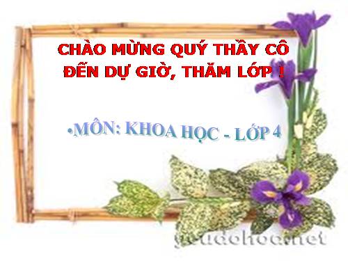 Bài 13. Phòng bệnh béo phì