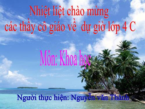 Bài 17. Phòng tránh tai nạn đuối nước