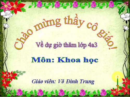 Bài 14. Phòng một số bệnh lây qua đường tiêu hoá