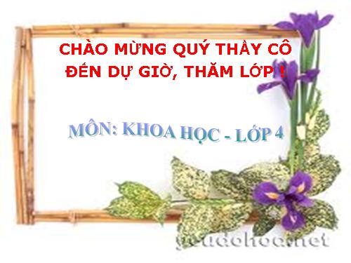 Bài 13. Phòng bệnh béo phì