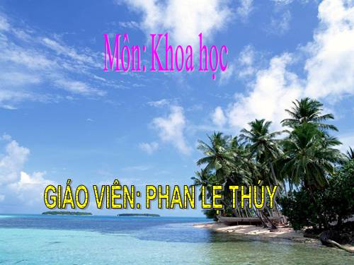 Bài 17. Phòng tránh tai nạn đuối nước