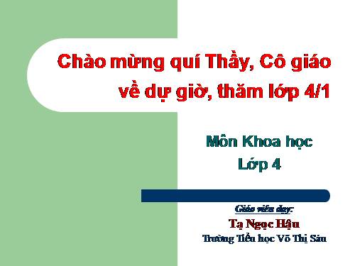 Bài 48. Ánh sáng cần cho sự sống (tiếp theo)