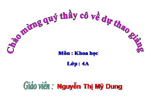 Bài 13. Phòng bệnh béo phì