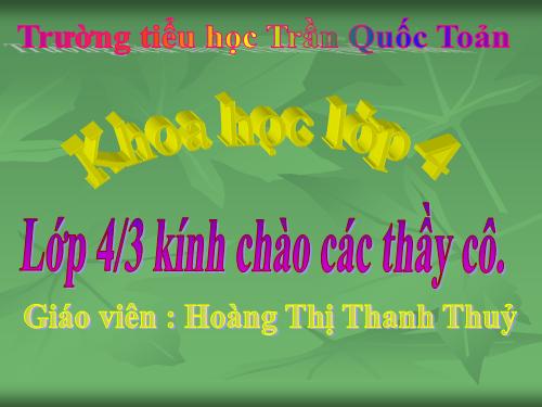 Bài 17. Phòng tránh tai nạn đuối nước