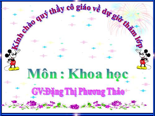Bài 31. Không khí có những tính chất gì?