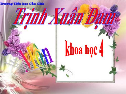 Bài 17. Phòng tránh tai nạn đuối nước