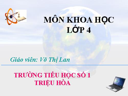 Bài 24. Nước cần cho sự sống