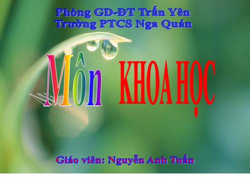 Bài 17. Phòng tránh tai nạn đuối nước