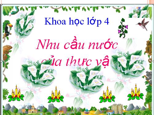 Bài 58. Nhu cầu nước của thực vật