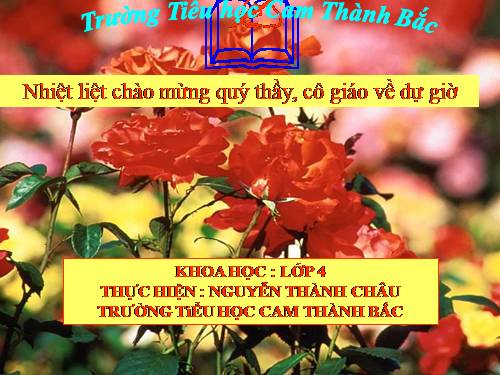 Bài 14. Phòng một số bệnh lây qua đường tiêu hoá