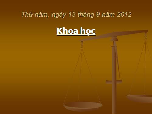Bài 6. Vai trò của vi-ta -min, chất khoáng và chất xơ