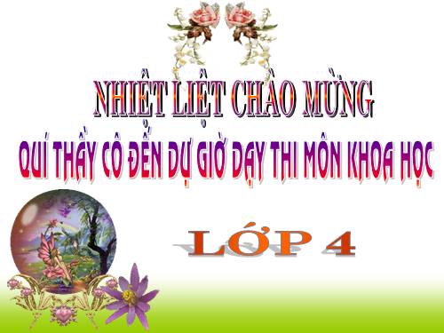 Bài 15. Bạn cảm thấy thế nào khi bị bệnh?