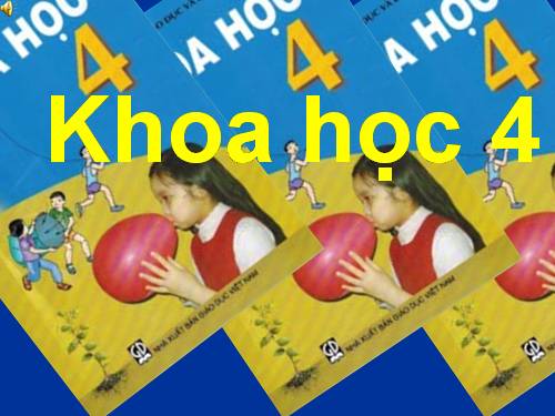 Bài 4. Các chất dinh dưỡng có trong thức ăn. Vai trò của chất bột đường