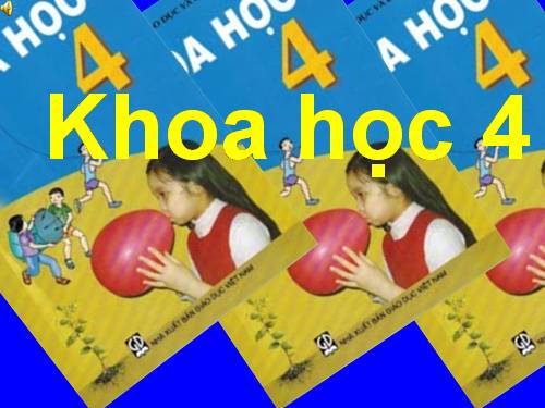 Bài 3. Trao đổi chất ở người (tiếp theo)