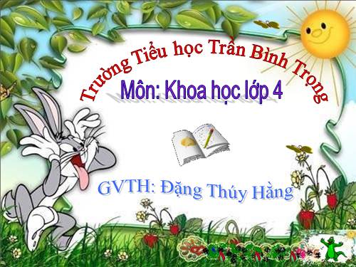 Bài 4. Các chất dinh dưỡng có trong thức ăn. Vai trò của chất bột đường