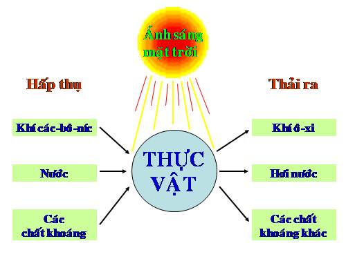 Bài 62. Động vật cần gì để sống?