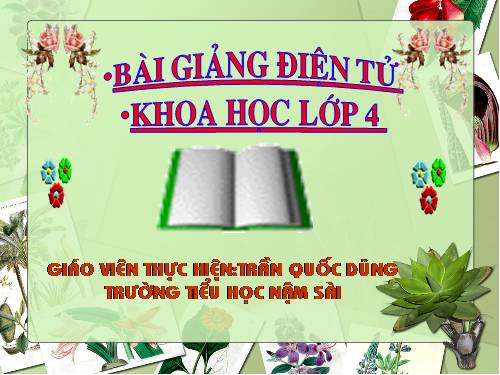 Bài 22. Mây được hình thành như thế nào? Mưa từ đâu ra?