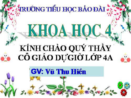 Bài 64. Trao đổi chất ở động vật