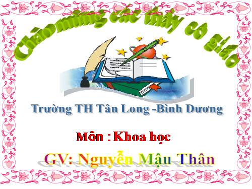 Bài 49. Ánh sáng và việc bảo vệ đôi mắt