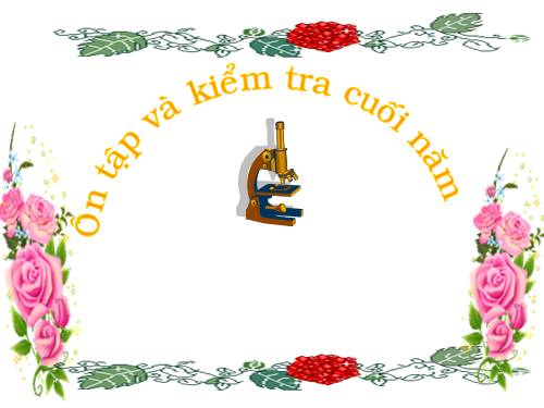Bài 69 - 70. Ôn tập và Kiểm tra Cuối năm