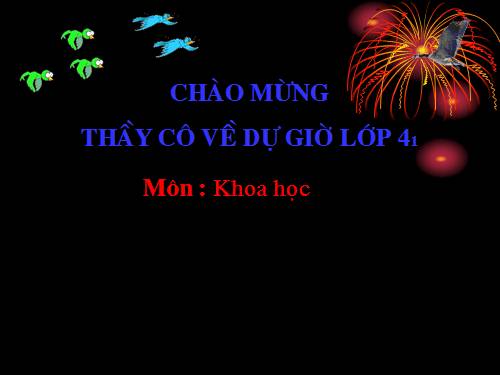 Bài 64. Trao đổi chất ở động vật