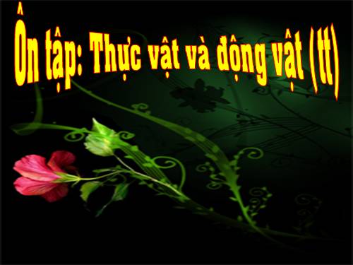Bài 67 - 68. Ôn tập: Thực vật và động vật