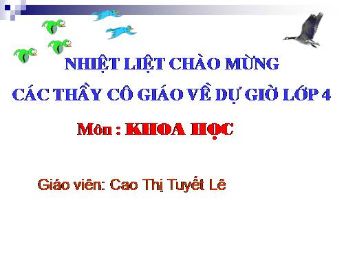 Bài 64. Trao đổi chất ở động vật