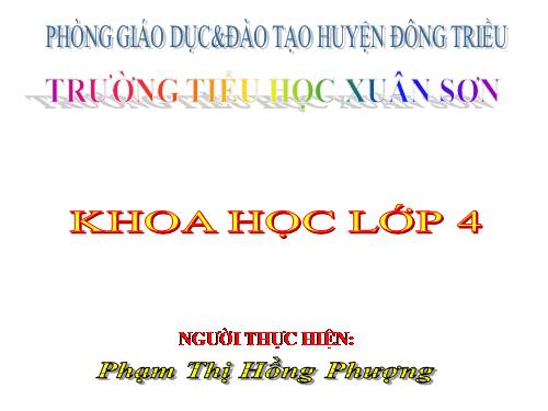 Bài 49. Ánh sáng và việc bảo vệ đôi mắt