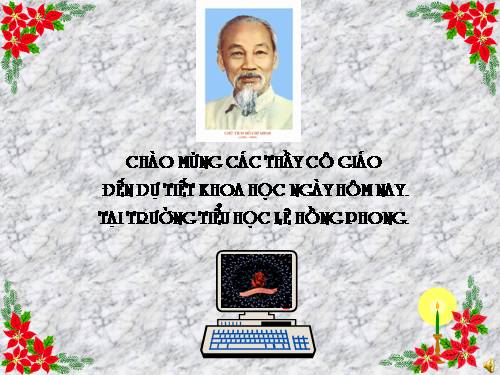 Bài 17. Phòng tránh tai nạn đuối nước