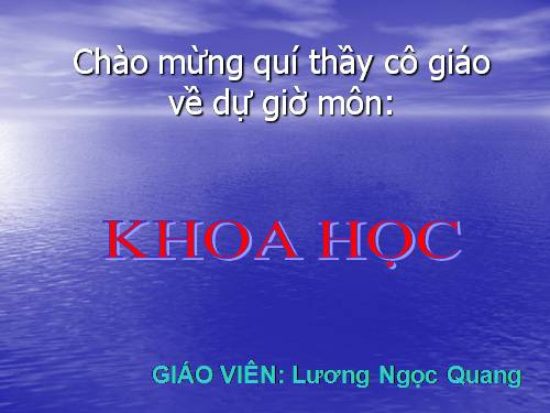 Bài 54. Nhiệt cần cho sự sống