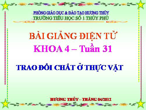 Bài 61. Trao đổi chất ở thực vật