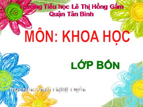 Bài 53. Các nguồn nhiệt