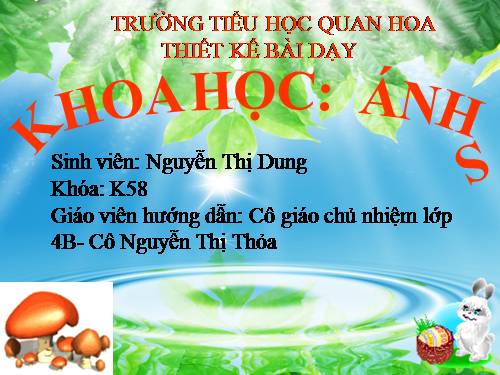 Bài 47. Ánh sáng cần cho sự sống