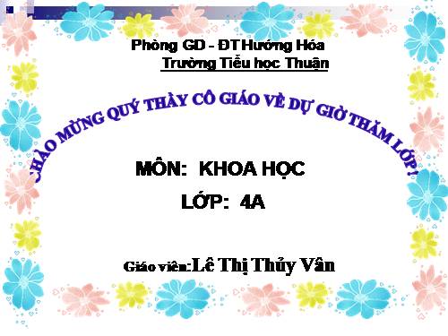 Bài 61. Trao đổi chất ở thực vật