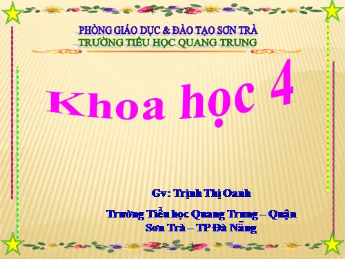 Bài 59. Nhu cầu chất khoáng của thực vật