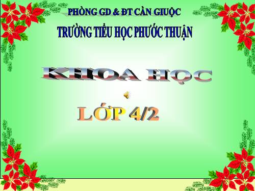 Bài 61. Trao đổi chất ở thực vật