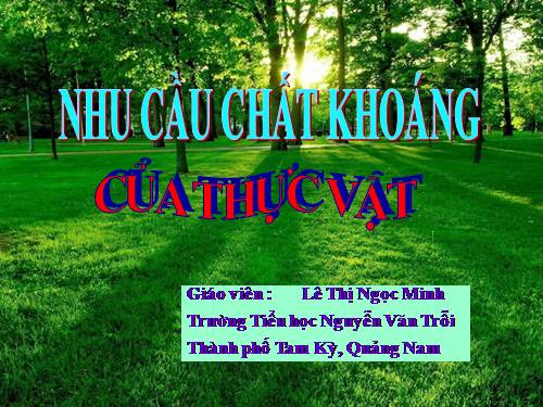 Bài 59. Nhu cầu chất khoáng của thực vật