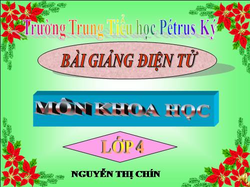 Bài 23. Sơ đồ vòng tuần hoàn của nước trong tự nhiên