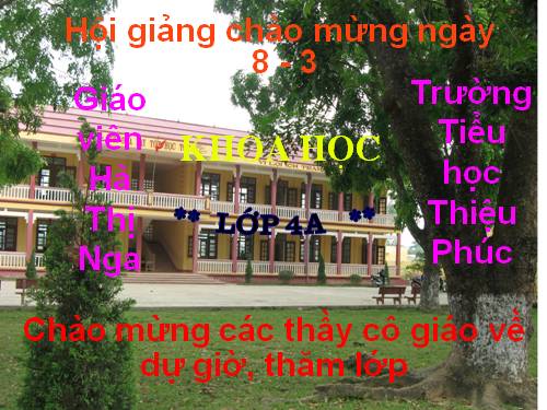 Bài 49. Ánh sáng và việc bảo vệ đôi mắt