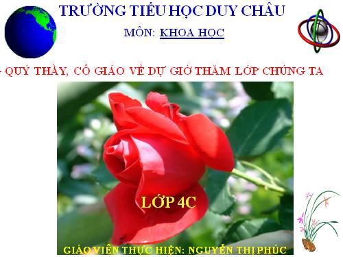 Bài 47. Ánh sáng cần cho sự sống