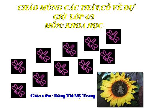 Bài 44. Âm thanh trong cuộc sống (tiếp theo)
