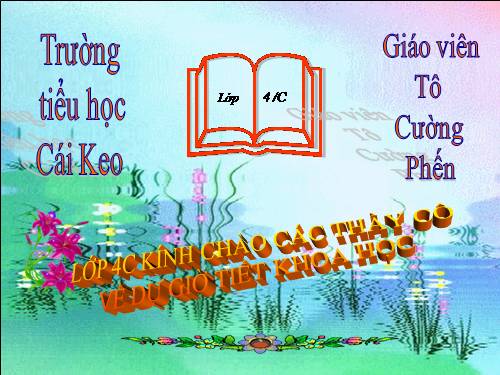 Bài 47. Ánh sáng cần cho sự sống
