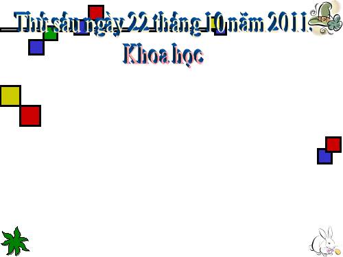 Bài 2. Trao đổi chất ở người
