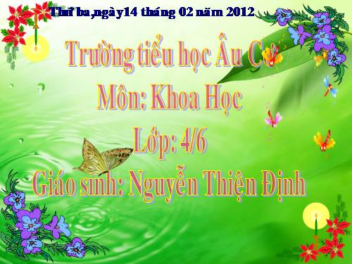 Bài 44. Âm thanh trong cuộc sống (tiếp theo)