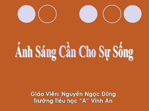 Bài 47. Ánh sáng cần cho sự sống