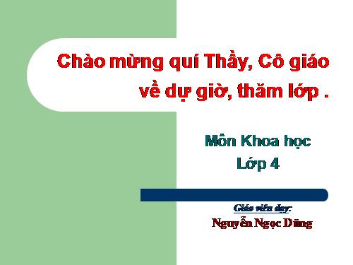 Bài 48. Ánh sáng cần cho sự sống (tiếp theo)