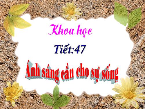 Bài 47. Ánh sáng cần cho sự sống