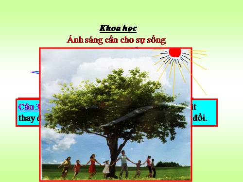 Bài 47. Ánh sáng cần cho sự sống