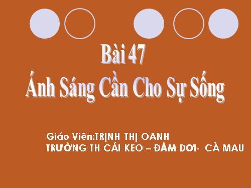 Bài 47. Ánh sáng cần cho sự sống